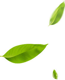 leafs